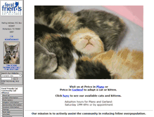 Tablet Screenshot of feralfriends.org